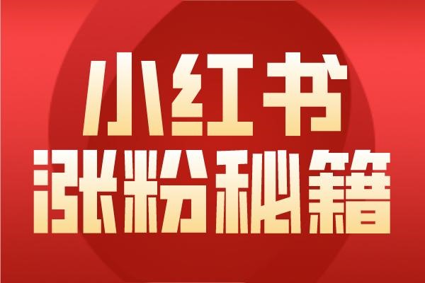 小红书怎么吸粉？